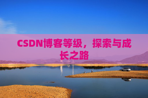 CSDN博客等级，探索与成长之路